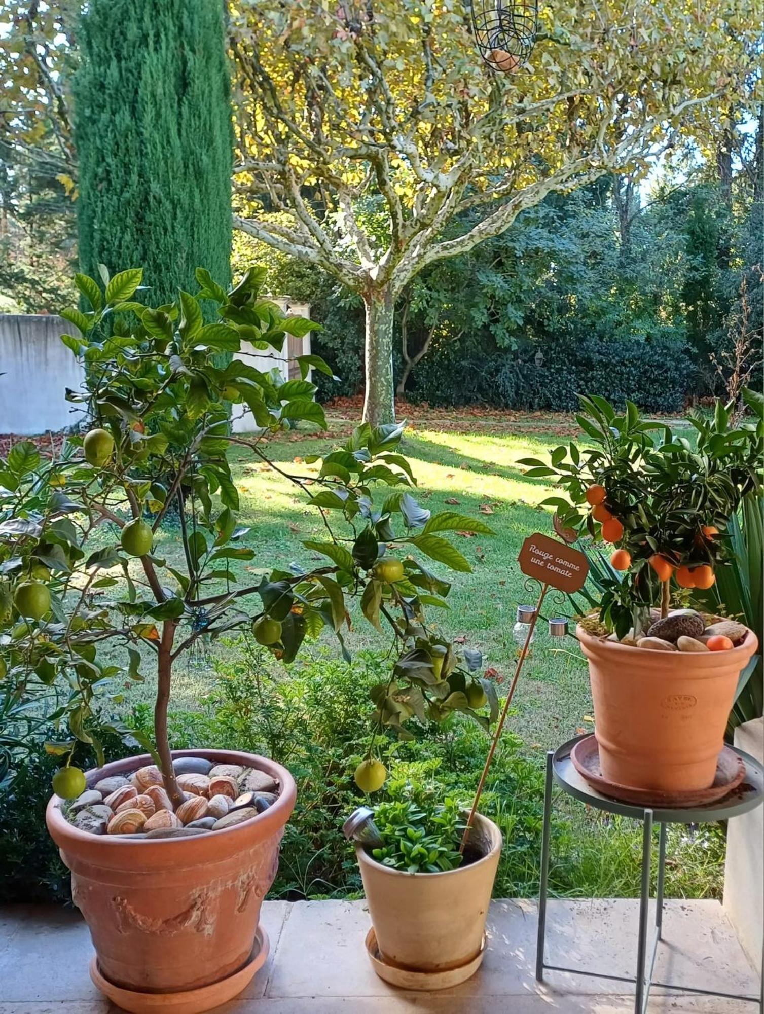 La Goutadou Bed & Breakfast Cabannes Екстериор снимка